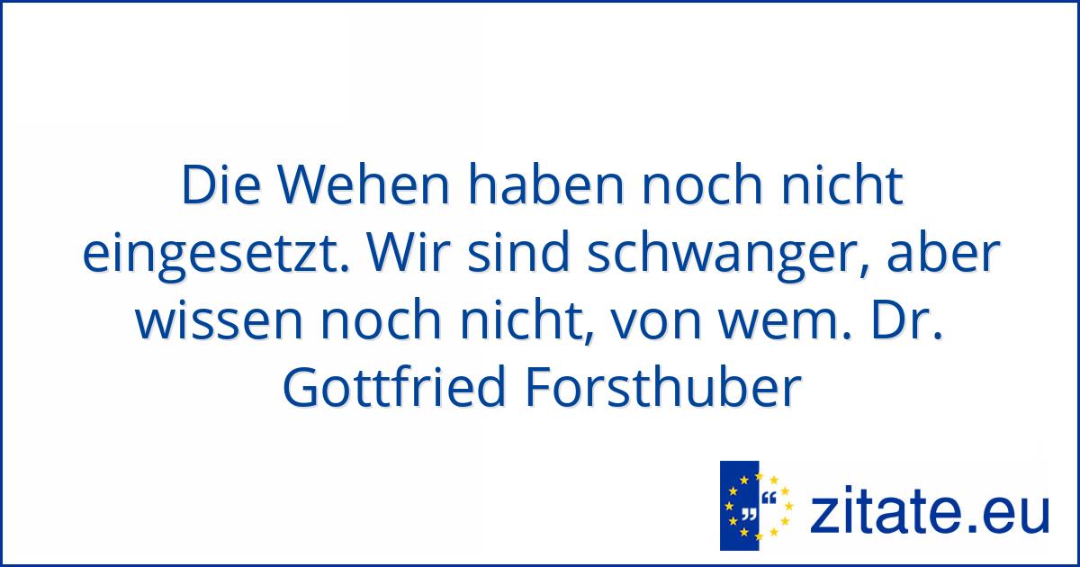 Dr Gottfried Forsthuber Zitate Eu