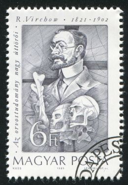 Prof. Dr. Rudolf Virchow - rook76/Shutterstock.com