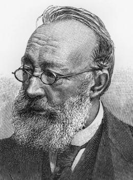 Gottfried Keller - Nicku/Shutterstock.com