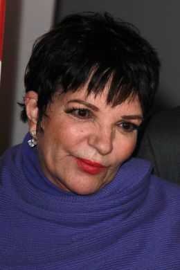 Liza May Minnelli - Helga Esteb/Shutterstock.com