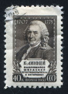 Prof. Dr. Carl von Linné - rook76/Shutterstock.com