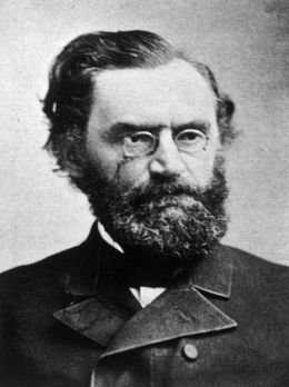 Carl Schurz - Everett Historical/Shutterstock.com