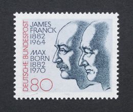 Max Born - catwalker/Shutterstock.com