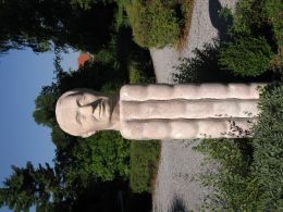 Prof. Willi Dungl - By Wachauer (Own work) [CC BY-SA 4.0 (http://creativecommons.org/licenses/by-sa/4.0)], via Wikimedia Commons