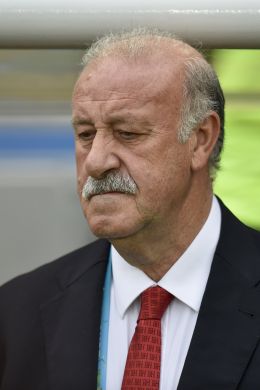 Vicente del Bosque - CP DC Press/Shutterstock.com