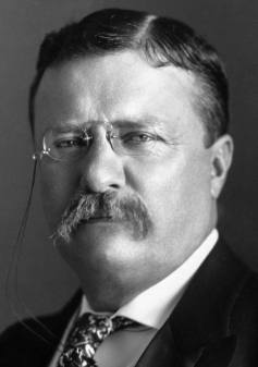 Theodore Roosevelt - Bild: https://www.whitehouse.gov/